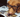 Dog learning about Tri-Biotics