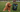 Signs Your Dog Might Need Gut Health Support