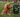 Signs Your Dog Might Need Gut Health Support