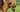 Why Does My Dog Eat Poo?