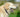 Why Your Dog’s Bad Breath May Not Just Be a Mouth Problem