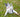 Why Gut Health Matters for Cats