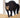 Signs Your Cat May Be Stressed and How to Support Them