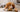 How to Raise a Confident Puppy: The Basics to Start Early