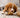 How to Raise a Confident Puppy: The Basics to Start Early